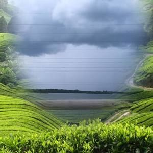 Meet your Posher, Alice